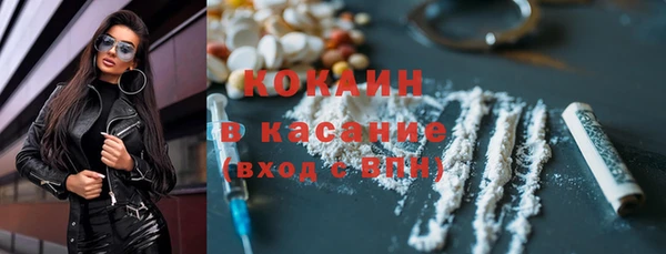 прущие грибы Абинск
