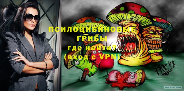 прущие грибы Абинск