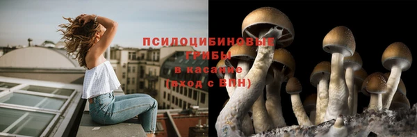 молекула духа Алексин
