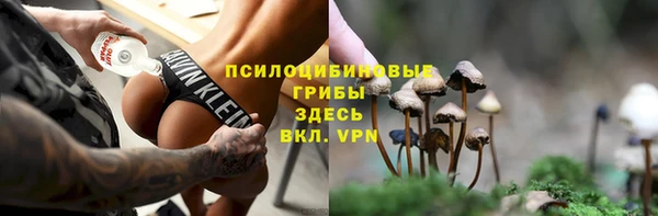 ПСИЛОЦИБИНОВЫЕ ГРИБЫ Алексеевка