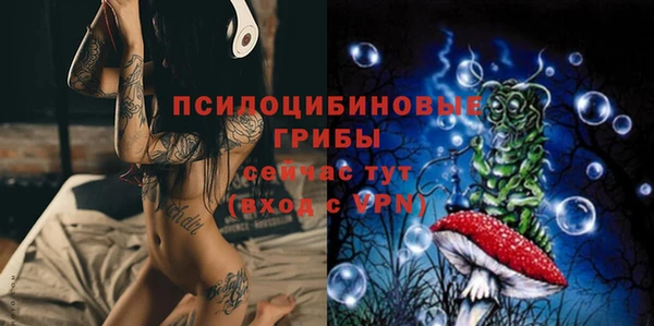 тгк Алзамай