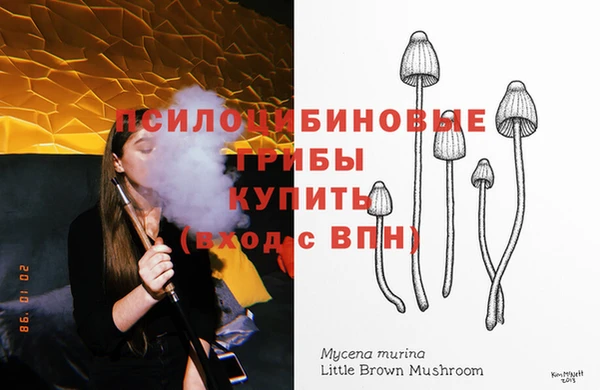 тгк Алзамай