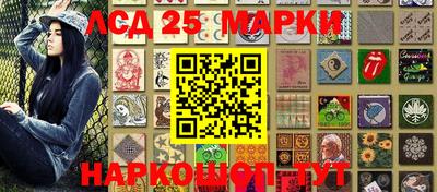 СК Новодвинск