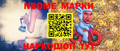СК Новодвинск