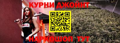 apvp Новозыбков
