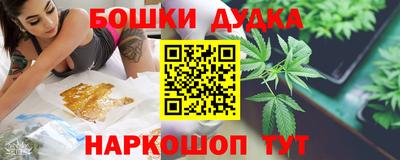 СК Новодвинск