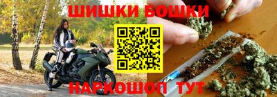 СК Новодвинск