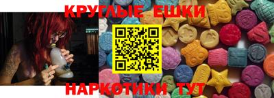 СК Новодвинск