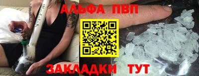 СК Новодвинск