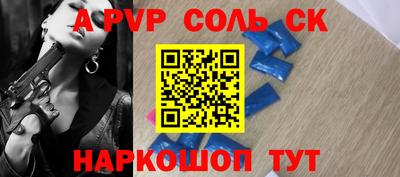 СК Новодвинск