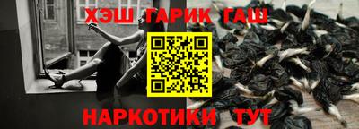СК Новодвинск