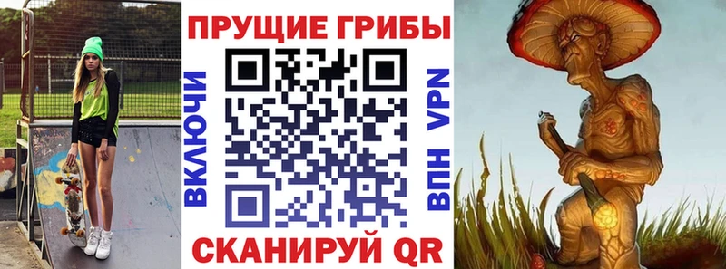 Галлюциногенные грибы Psilocybine cubensis наркотики Саянск
