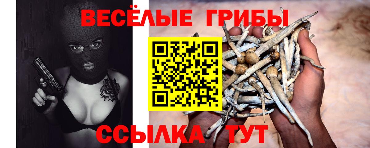 Галлюциногенные грибы Cubensis  Галлюциногенные грибы Psilocybe  Саянск  Вход с VPN 